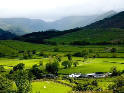 Prorrogação dos prazos decorre das dificuldades de acesso à internet em determinadas regiões do estado