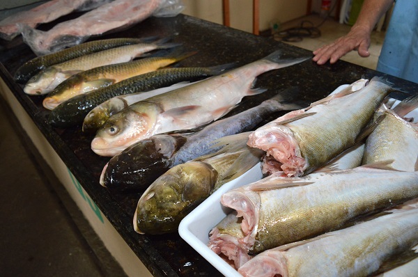 Mais uma edição da feira será realizada este ano na semana do município em setembro