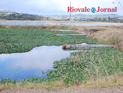 É na Estação Pindorama que acontece o tratamento dos 8,6% do esgoto coletado no município. Ideal seria 75% de coleta
