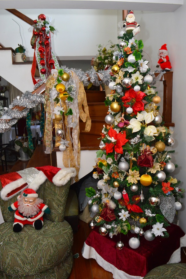 O pinheirinho está decorado com bolinhas de natal, bolinhas de Natal e muitos laços. Todos os enfeites coloridos.