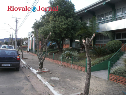 Poda radical, ao contr‡rio do que muitos pensam, Ž prejudicial ˆs ‡rvores e as deixa vulner‡veis ao acesso de parasitas