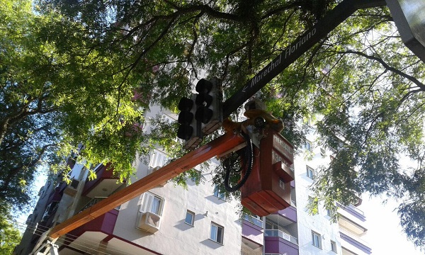 Podas acontecem na Rua Marechal Floriano