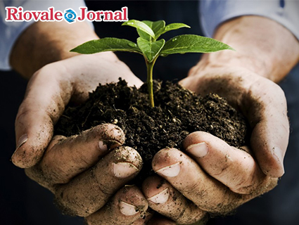 15 de abril: Dia Nacional da Conservação do Solo