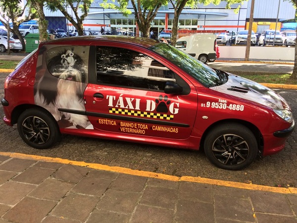 O Taxi Dog é todo personalizado e os bichinhos são levados com todo o conforto 