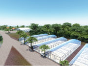 PESQUISA JTI investe R$10 milhões em Santa Cruz