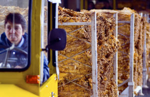 Santa Cruz e Gravataí são os únicos municípios a subir no G10 do PIB do Estado