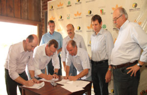 Programa estimula plantio de grãos após a colheita do tabaco
