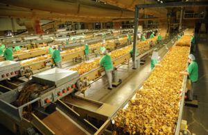 Processamento da Safra 2012 inicia em fevereiro na JTI