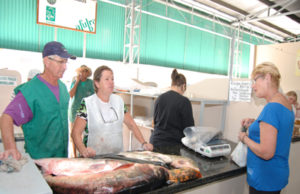 Prefeitura organiza Feira do Peixe