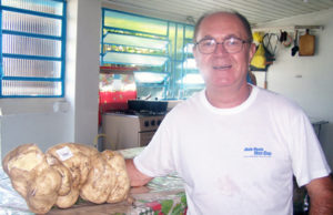 Horta orgânica dá origem à batata gigante