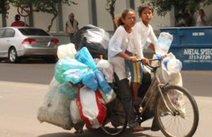 Ecologia: Cidade entra na era da coleta seletiva solidária