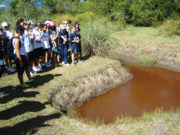 Biodiversidade é tema de estudos no Colégio Marista São Luís