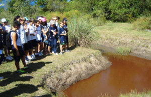 Biodiversidade é tema de estudos no Colégio Marista São Luís