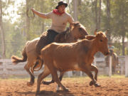 Pra quem gosta de rodeio, fim de semana é a pedida