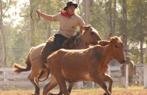 Pra quem gosta de rodeio, fim de semana é a pedida