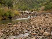 Nos Bastidores – 61