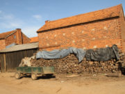 Tabaco – setor já prevê caos no campo