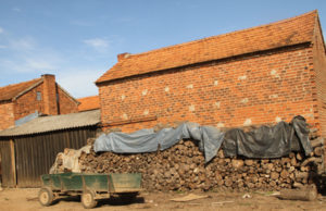 Tabaco – setor já prevê caos no campo