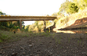 Estiagem:Defesa Civil pode decretar situação de emergência