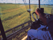MBA em Agronegócios inscreve até 15 de agosto