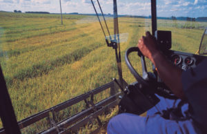 Oficinas para profissionais do Agronegócio da ESALQ/USP