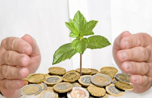 Classe D: nasce um novo nicho consumidor