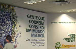 Dia do Cooperativismo: setor de olho na economia verde