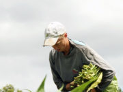 Nos Bastidores – 114