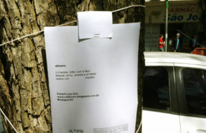 Árvores receberam poemas no seu dia