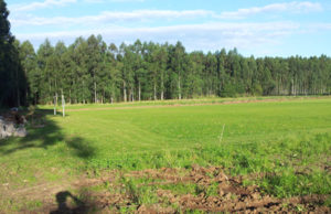 Galo: Novo centro de treinamento é apresentado