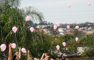 Hospital Ana Nery: uma ação pela vida