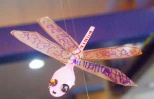 Exposição aborda o "fascinante mundo dos insetos"