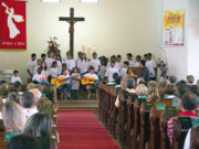 Oase comemora 20 anos de projeto