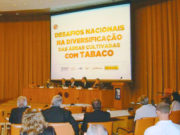 Ministros garantem que governo não aceitará restrições à produção de tabaco