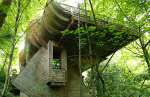 CONSTRUIR & DECORAR – 11