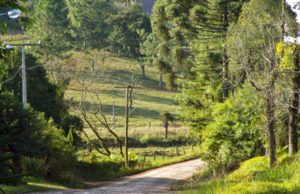 Homenagem: Colonização celebrada em Linha Santa Cruz