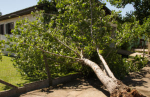 Temporal causa transtornos em Santa Cruz do Sul