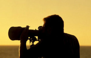 Dia Naciona do Fotógrafo: profissionais na arte de captar imagens