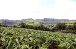 Reajuste é definido em 7,5%