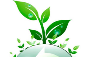 Que tal um 2013 mais sustentável?