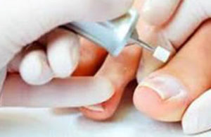 A beleza em destaque