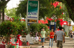 As altas e baixas do verão