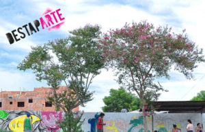 Destaparte: arte e cultura para uma nova cidade