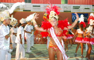 Carnaval 2013: Escolas fizeram bonito na avenida