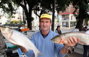 Feira do Peixe encerra hoje