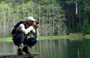 A arte e a essência de fotografar