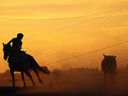 Começa hoje a Festa Campeira do RS