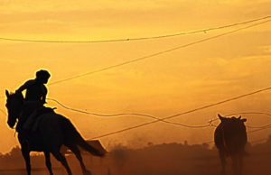 Começa hoje a Festa Campeira do RS