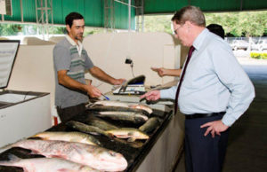 Presença ilustre: Prefeito Telmo Kirst visita a Feira do Peixe