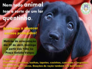 Unisc arrecada ração para animais abandonados